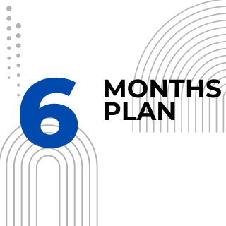 6 Months Plan